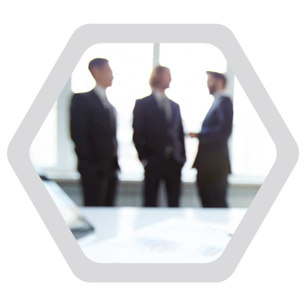 Commercial and Business Litigation